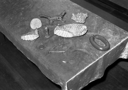 836317 Afbeelding van enkele voorwerpen die zijn aangetroffen tussen het huisvuil op de stortplaats van de VAM (Vuil ...